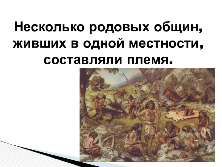 Несколько родовых общин, живших в одной местности, составляли племя.