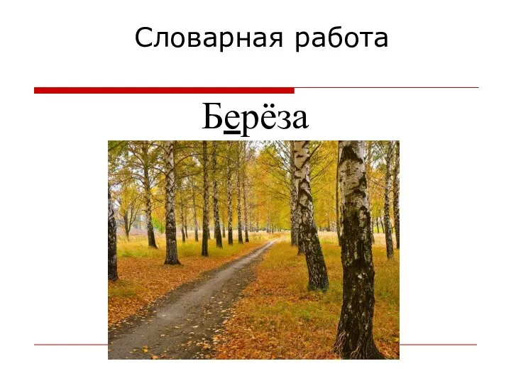 Словарная работа Берёза