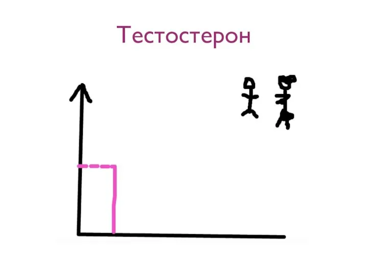 Тестостерон