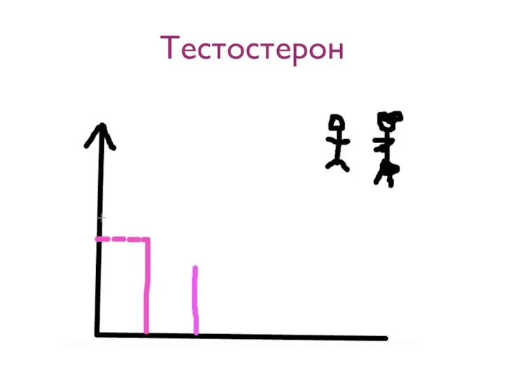 Тестостерон