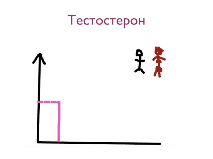 Тестостерон