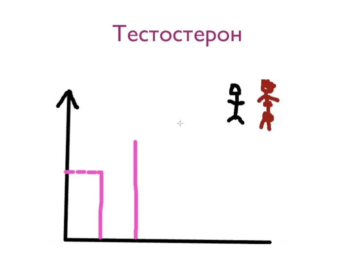 Тестостерон