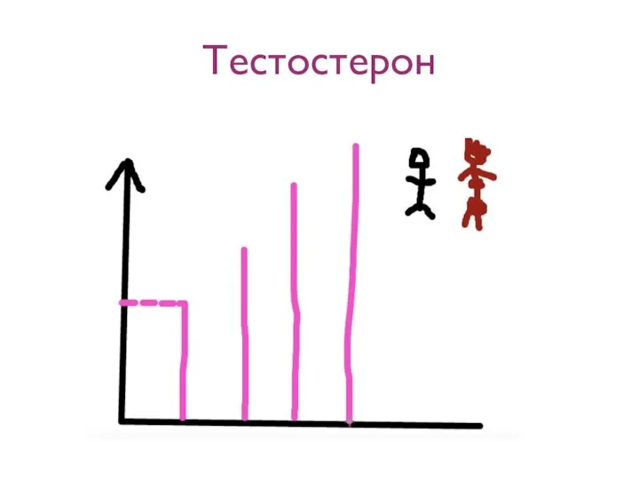 Тестостерон