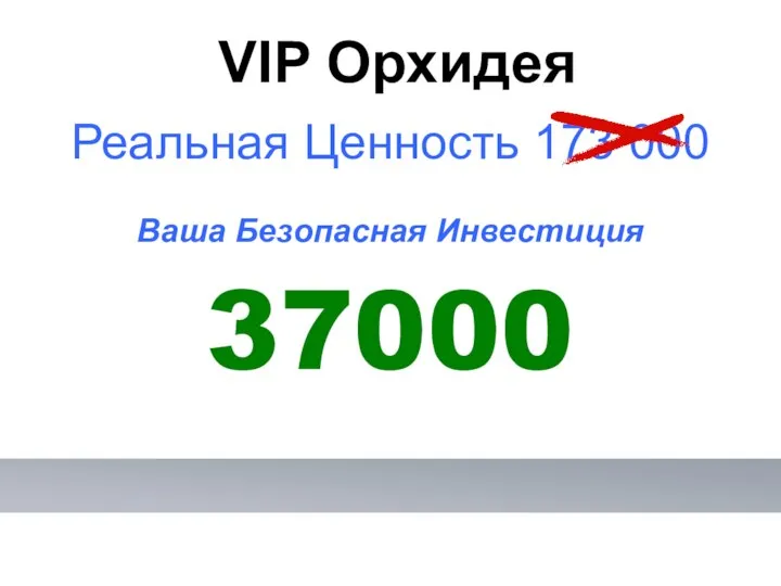 Реальная Ценность 173 000 Ваша Безопасная Инвестиция 37000 VIP Орхидея