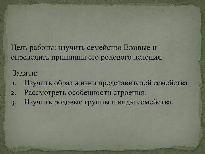 Цель работы: изучить семейство Ежовые и определить принципы его родового деления.