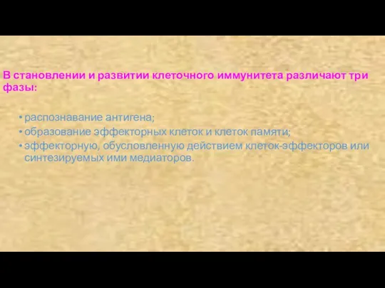 В становлении и развитии клеточного иммунитета различают три фазы: распознавание антигена;