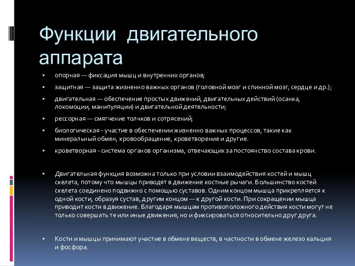 Функции двигательного аппарата опорная — фиксация мышц и внутренних органов; защитная