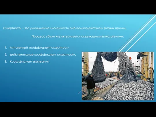 Смертность – это уменьшение численности рыб под воздействием разных причин. Процесс