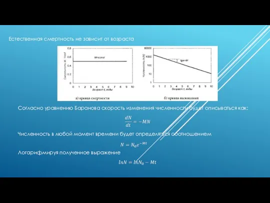 Естественная смертность не зависит от возраста Согласно уравнению Баранова скорость изменения