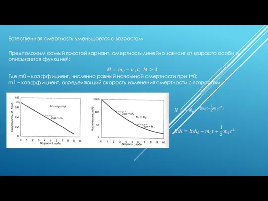 Естественная смертность уменьшается с возрастом Предположим самый простой вариант, смертность линейно