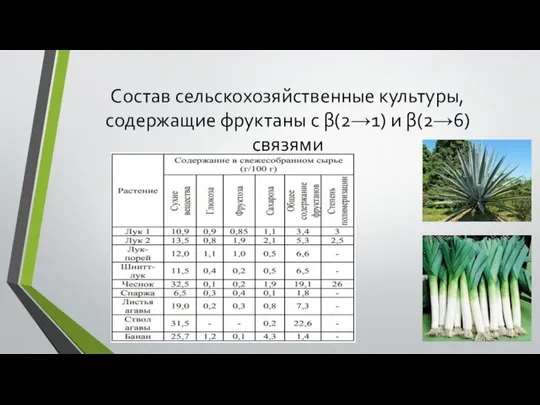 Состав сельскохозяйственные культуры, содержащие фруктаны с β(2→1) и β(2→6) связями