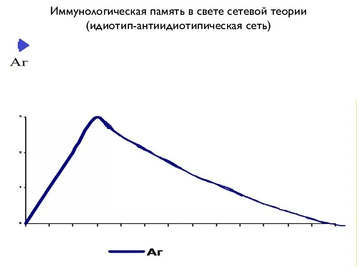 Иммунологическая память в свете сетевой теории (идиотип-антиидиотипическая сеть)