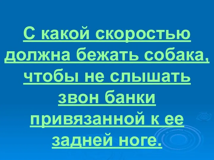 С какой скоростью должна бежать собака, чтобы не слышать звон банки привязанной к ее задней ноге.