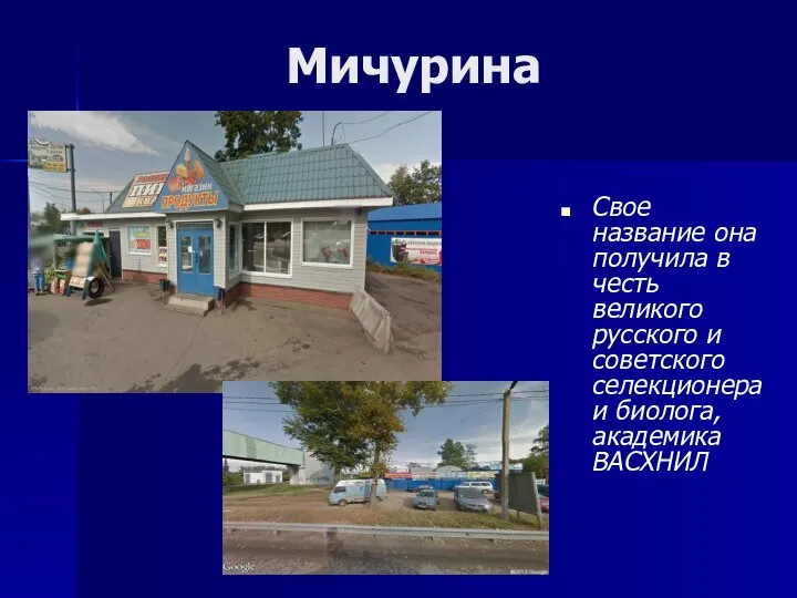 Мичурина Свое название она получила в честь великого русского и советского селекционера и биолога, академика ВАСХНИЛ