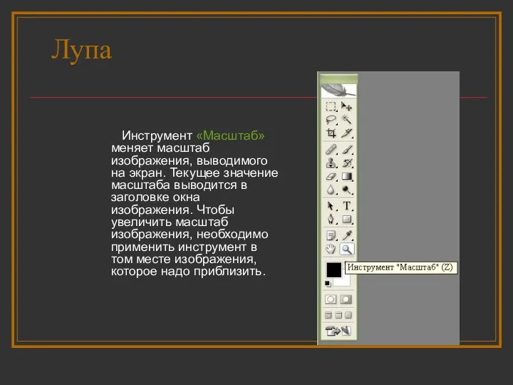 Лупа Инструмент «Масштаб» меняет масштаб изображения, выводимого на экран. Текущее значение