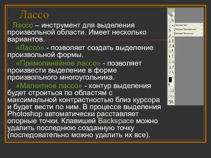 Лассо Лассо – инструмент для выделения произвольной области. Имеет несколько вариантов.