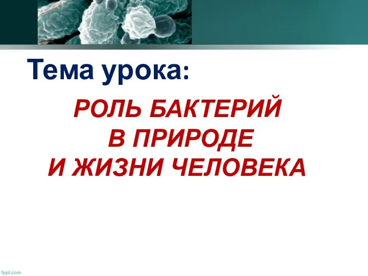 Тема урока: РОЛЬ БАКТЕРИЙ В ПРИРОДЕ И ЖИЗНИ ЧЕЛОВЕКА