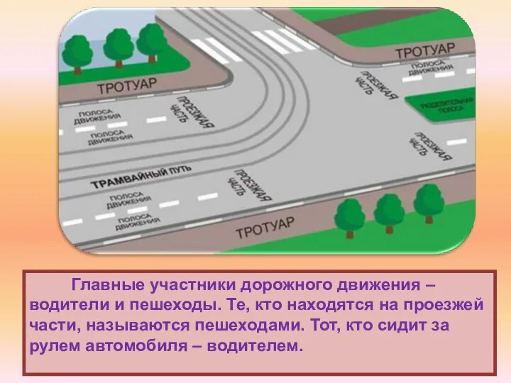 Главные участники дорожного движения – водители и пешеходы. Те, кто находятся