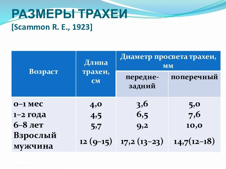 РАЗМЕРЫ ТРАХЕИ [Scammon R. E., 1923]