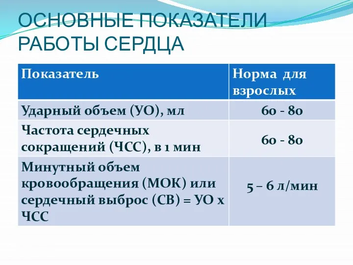 ОСНОВНЫЕ ПОКАЗАТЕЛИ РАБОТЫ СЕРДЦА