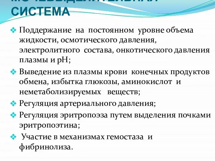 МОЧЕВЫДЕЛИТЕЛЬНАЯ СИСТЕМА Поддержание на постоянном уровне объема жидкости, осмотического давления, электролитного