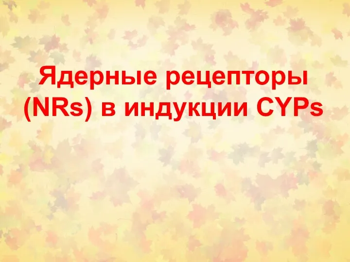 Ядерные рецепторы (NRs) в индукции CYPs