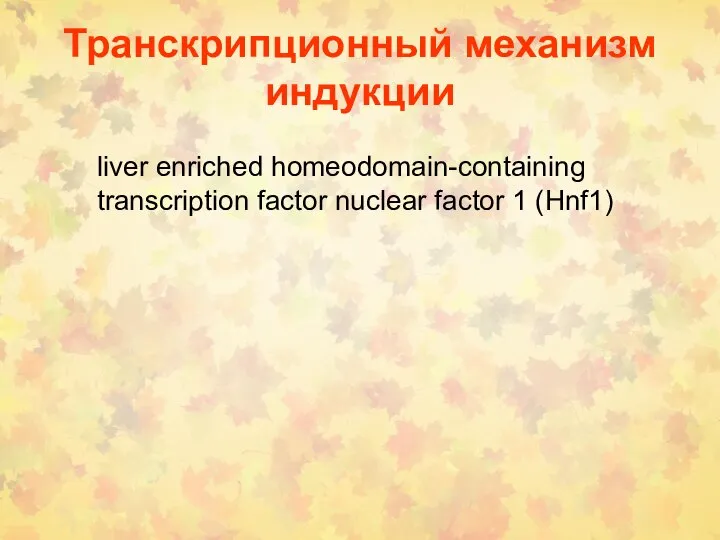 Транскрипционный механизм индукции liver enriched homeodomain-containing transcription factor nuclear factor 1 (Hnf1)