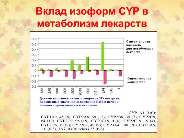 Вклад изоформ CYP в метаболизм лекарств