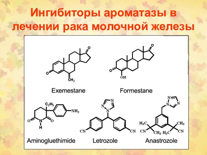 Ингибиторы ароматазы в лечении рака молочной железы