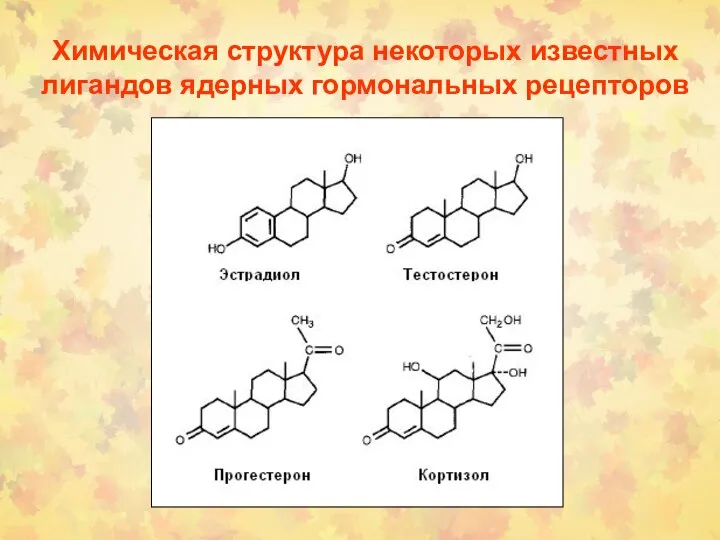 Химическая структура некоторых известных лигандов ядерных гормональных рецепторов