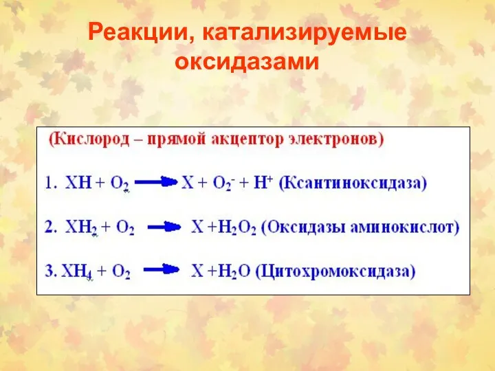 Реакции, катализируемые оксидазами