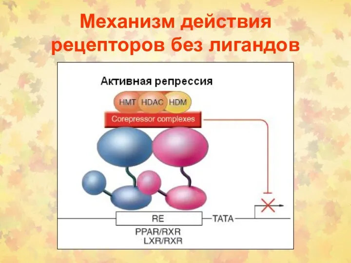 Механизм действия рецепторов без лигандов