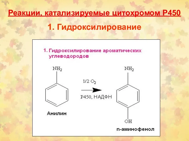 Реакции, катализируемые цитохромом Р450 1. Гидроксилирование