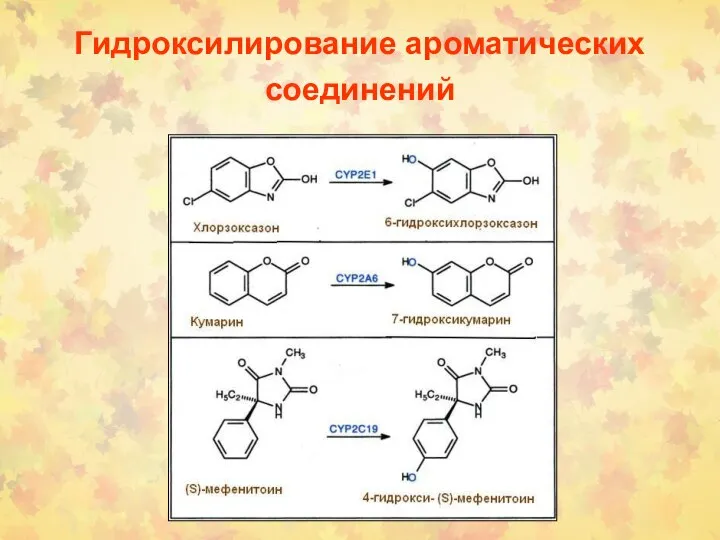 Гидроксилирование ароматических соединений