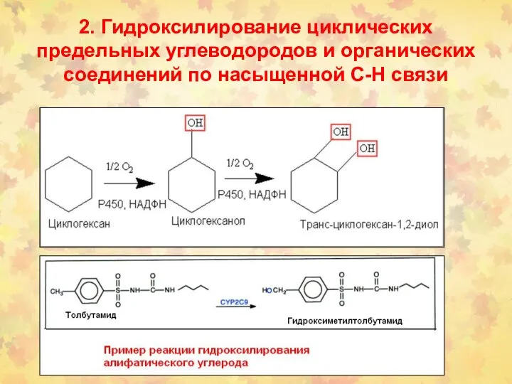 2. Гидроксилирование циклических предельных углеводородов и органических соединений по насыщенной С-Н связи