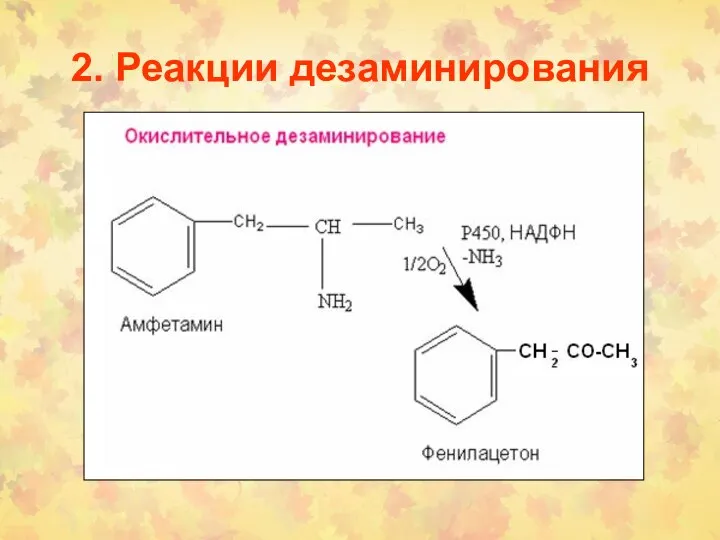 2. Реакции дезаминирования