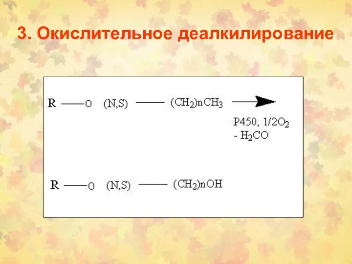 3. Окислительное деалкилирование