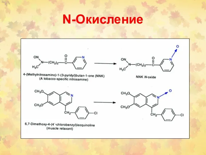 N-Окисление