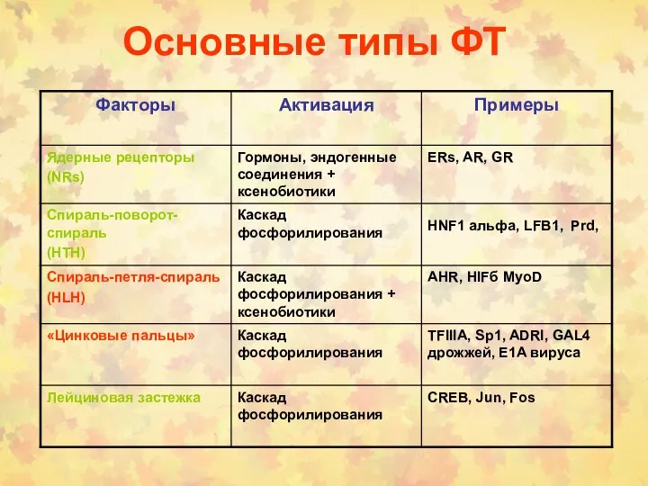 Основные типы ФТ