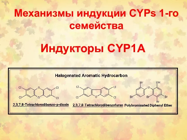 Индукторы CYP1A Механизмы индукции CYPs 1-го семейства