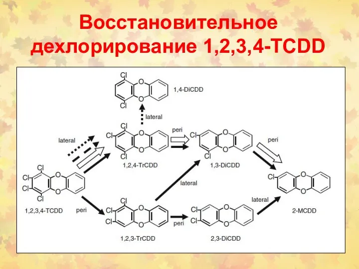 Восстановительное дехлорирование 1,2,3,4-TCDD