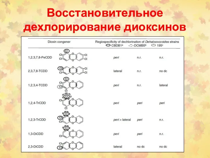 Восстановительное дехлорирование диоксинов