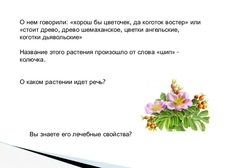 О нем говорили: «хорош бы цветочек, да коготок востер» или «стоит