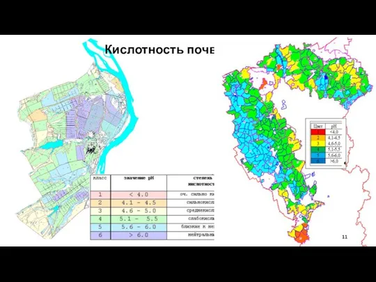 Кислотность почв