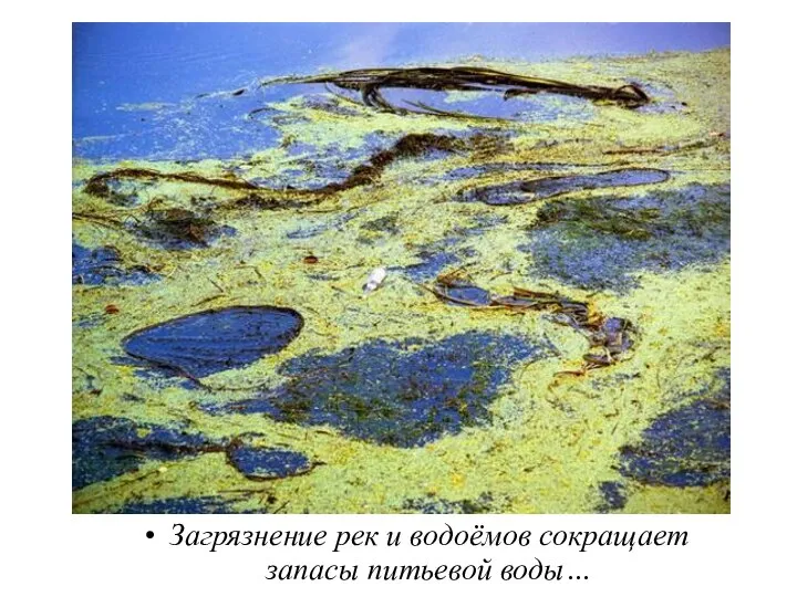 Загрязнение рек и водоёмов сокращает запасы питьевой воды…