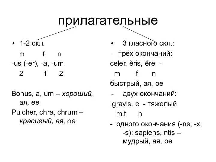 прилагательные 1-2 скл. m f n -us (-er), -a, -um 2