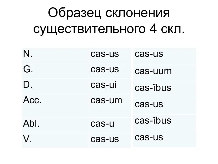 Образец склонения существительного 4 скл.