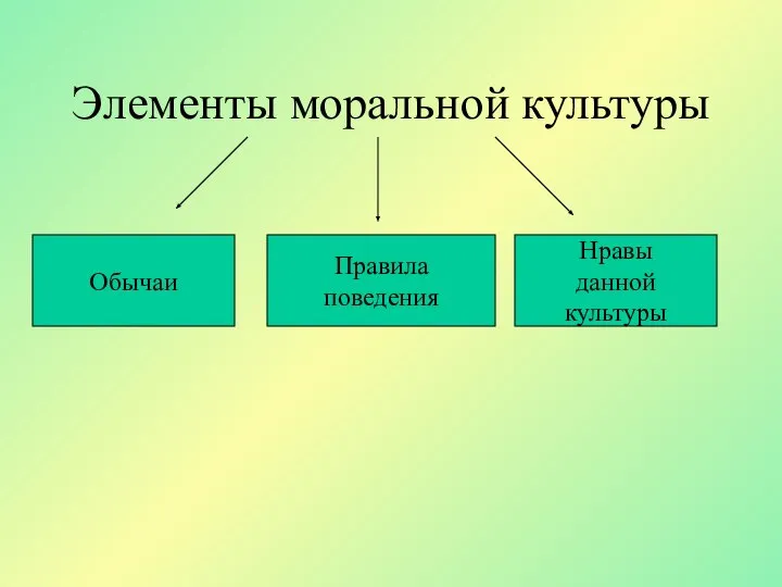 Элементы моральной культуры Обычаи Правила поведения Нравы данной культуры