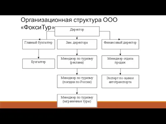 Организационная структура ООО «ФоксиТур»