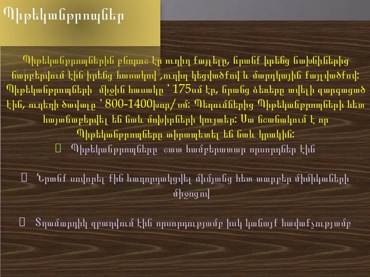 Պիթեկանթրոպներին բնորոշ էր ուղիղ քայլելը, նրանք իրենց նախնիներից նարբերվում էին իրենց